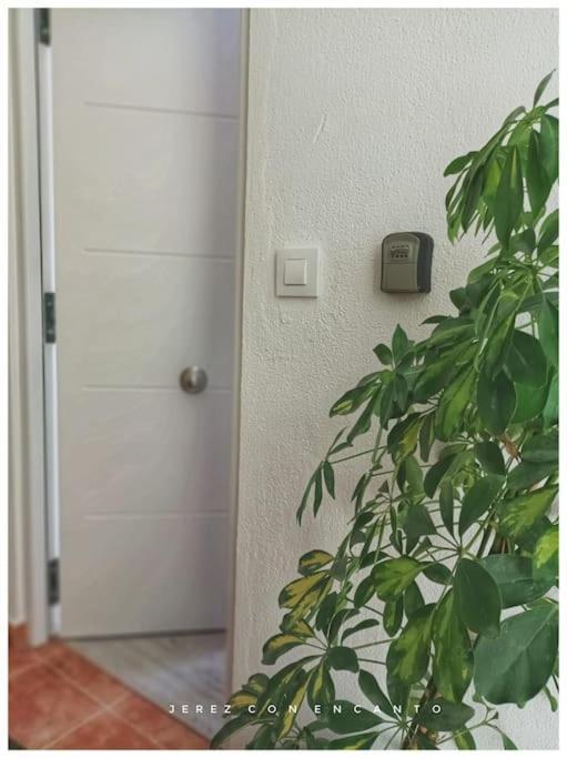Atico En Pleno Centro De Jerez Sin Ascensor Daire Jerez de la Frontera Dış mekan fotoğraf
